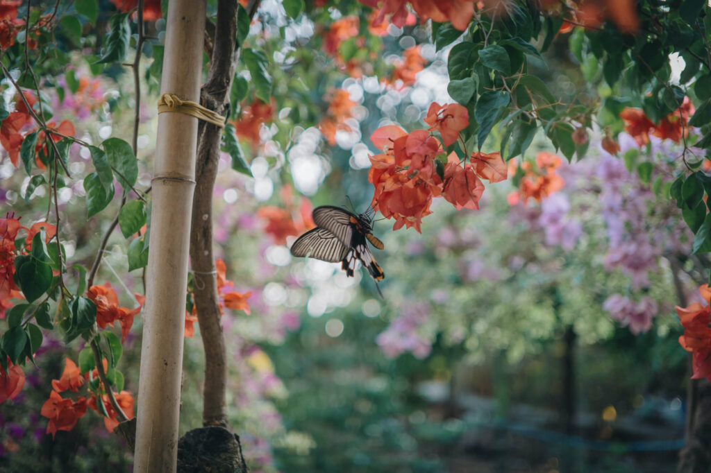 Why You Should Invest in Your Garden