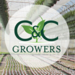 C&C Growers