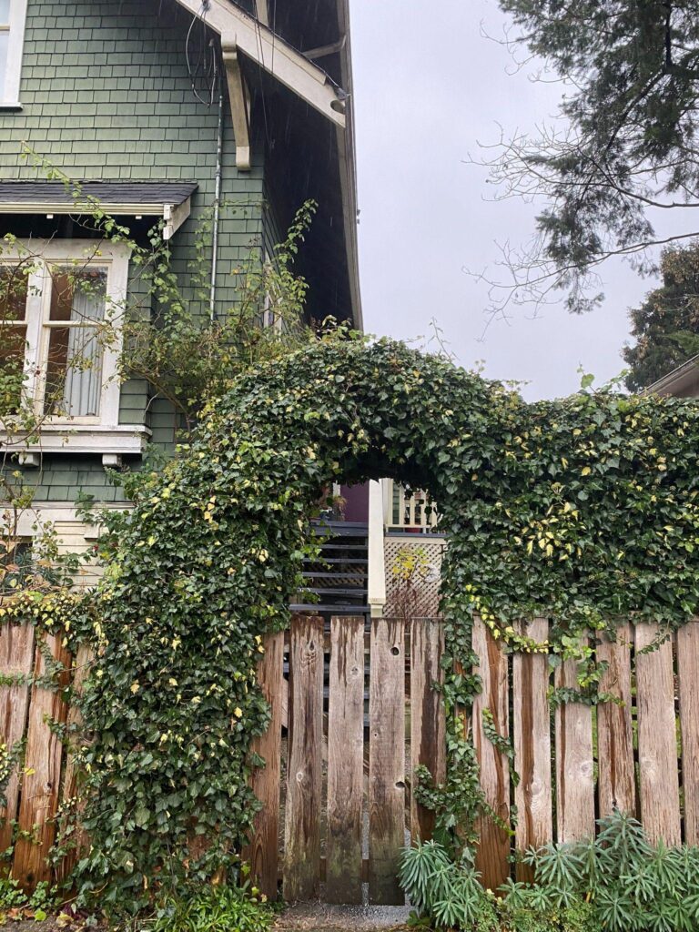 How to deal with invasive plants in BC