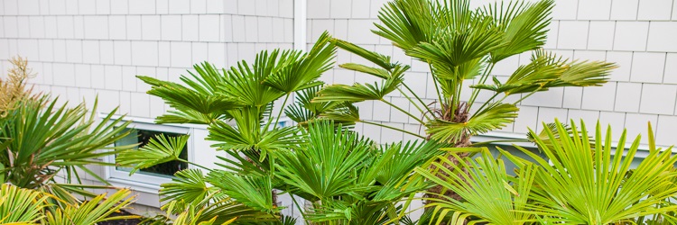 Contact-Us-Costa-Verde-7